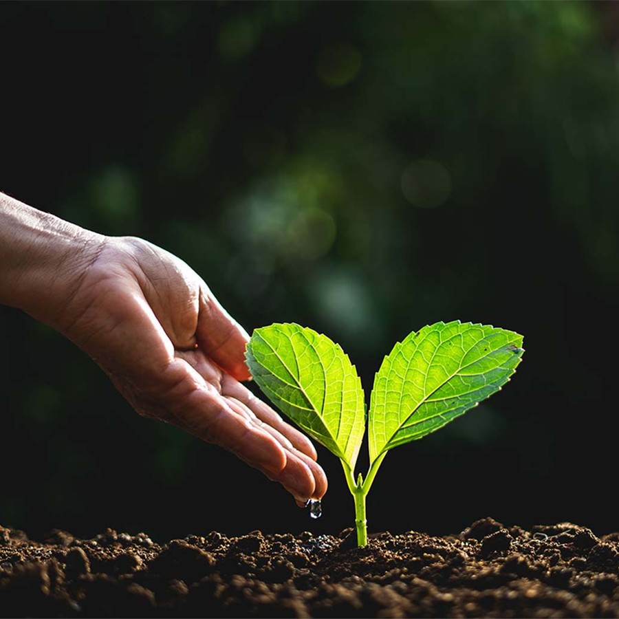 جدارة لتحقيق